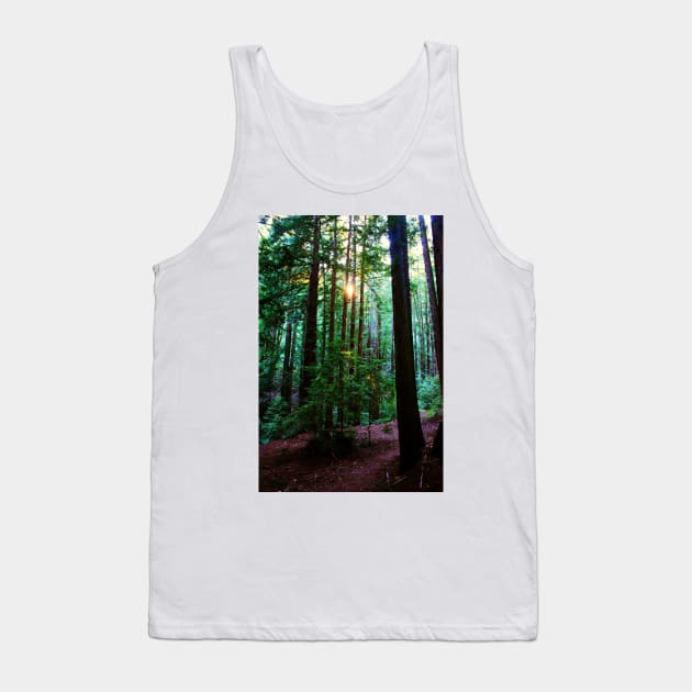 Redwoods in Wunderlich Park, San Fancisco Bay area 2010 Tank Top by IgorPozdnyakov